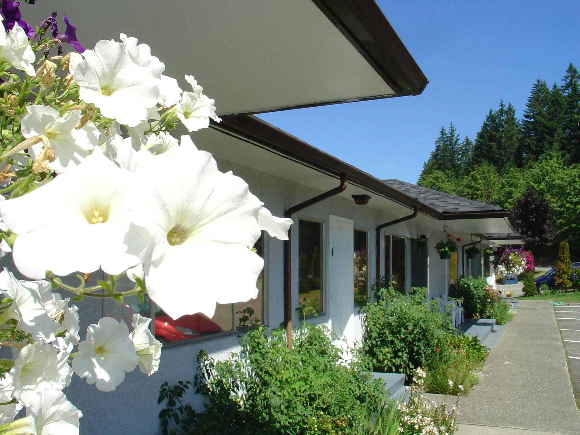 Sunset Motel Port Alberni Exterior photo
